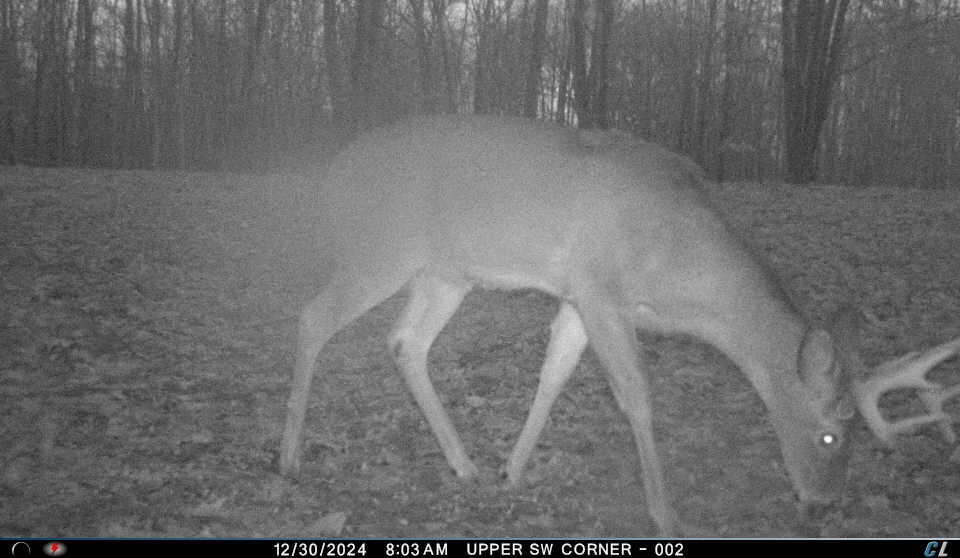 V/l V/l Amber Road Mears, MI 49436 - Photo 35 of 53 9