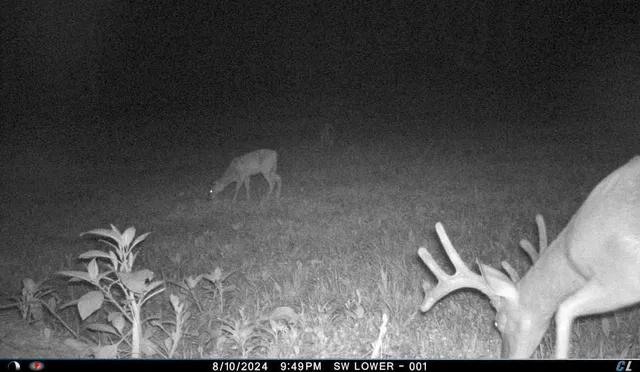 $299,900 | V/l V/l Amber Road, Mears, MI 49436