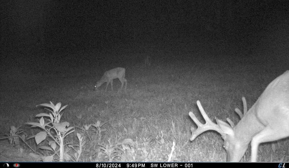 V/l V/l Amber Road Mears, MI 49436 - Photo 38 of 53 11 3