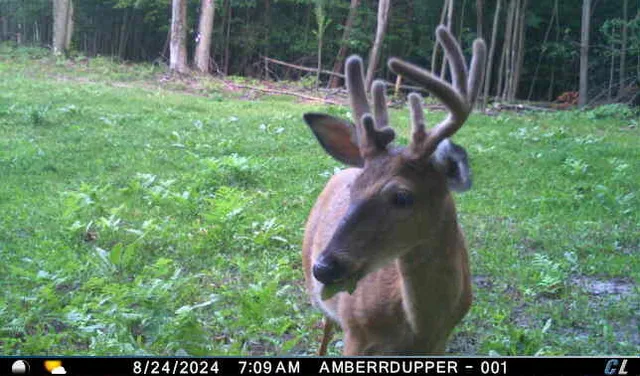 $299,900 | V/l V/l Amber Road, Mears, MI 49436