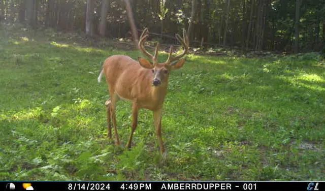 $299,900 | V/l V/l Amber Road, Mears, MI 49436