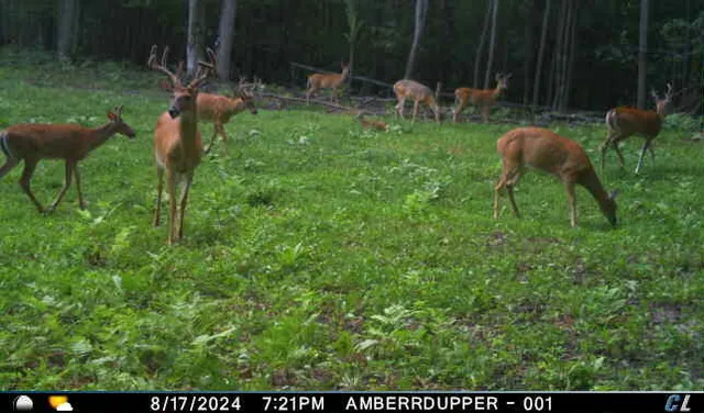 $299,900 | V/l V/l Amber Road, Mears, MI 49436