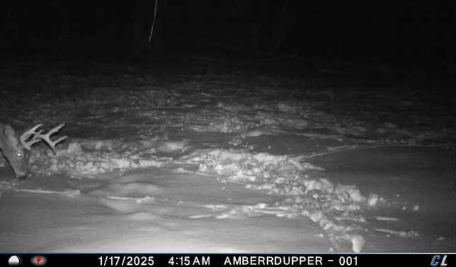 $299,900 | V/l V/l Amber Road, Mears, MI 49436