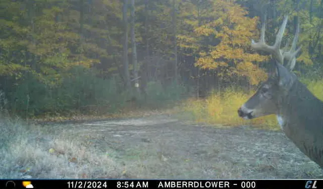 $299,900 | V/l V/l Amber Road, Mears, MI 49436