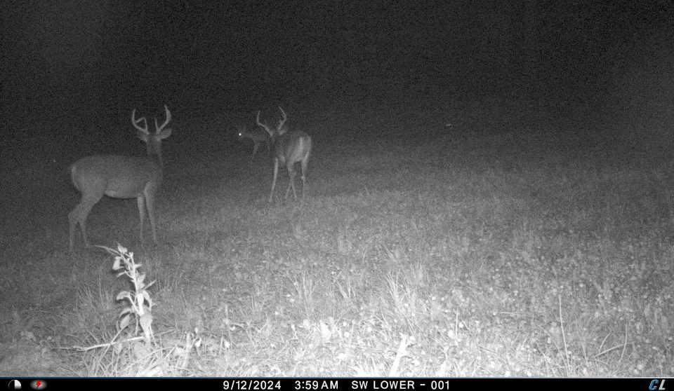 V/l V/l Amber Road Mears, MI 49436 - Photo 47 of 53 19