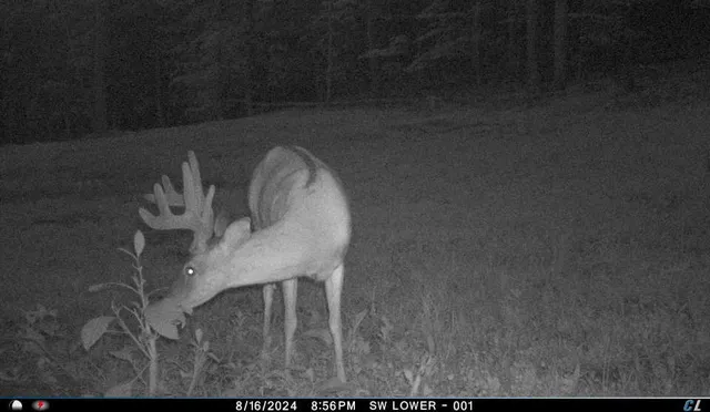 $299,900 | V/l V/l Amber Road, Mears, MI 49436