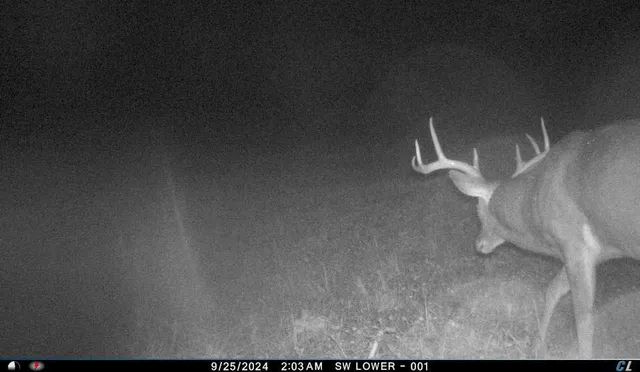 $299,900 | V/l V/l Amber Road, Mears, MI 49436