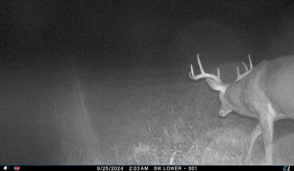 V/l V/l Amber Road Mears, MI 49436 - Photo 49 of 53 20