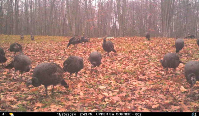 $299,900 | V/l V/l Amber Road, Mears, MI 49436