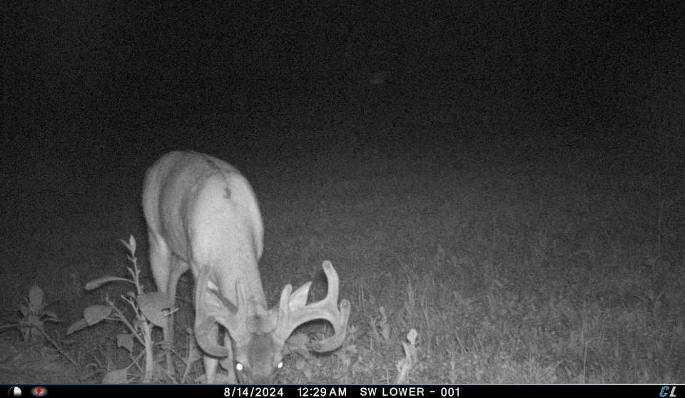 V/l V/l Amber Road Mears, MI 49436 - Photo 5 of 53 2