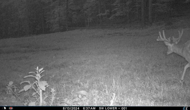 $299,900 | V/l V/l Amber Road, Mears, MI 49436