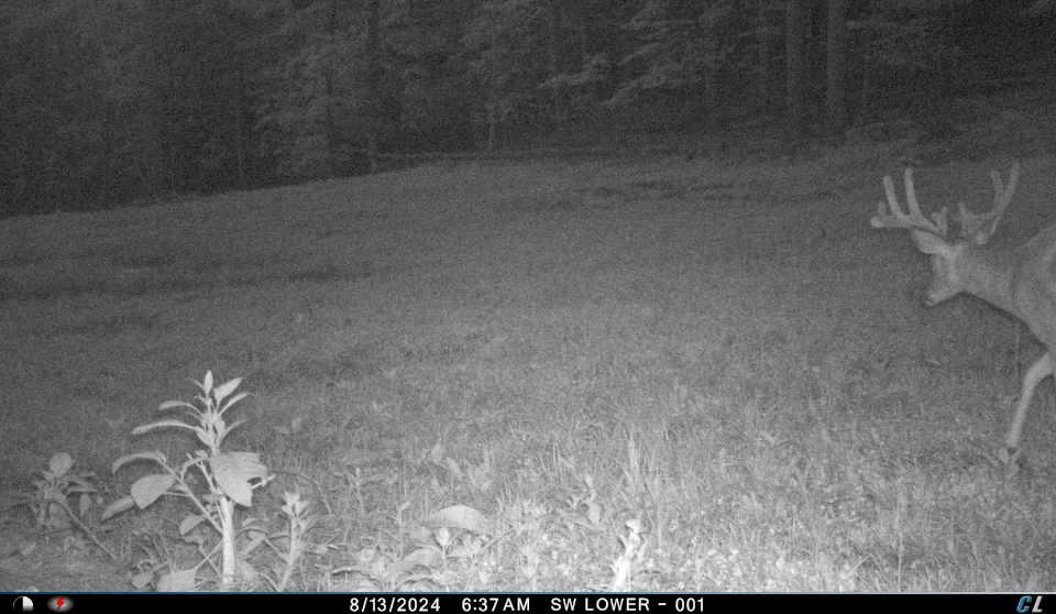 V/l V/l Amber Road Mears, MI 49436 - Photo 52 of 53 24