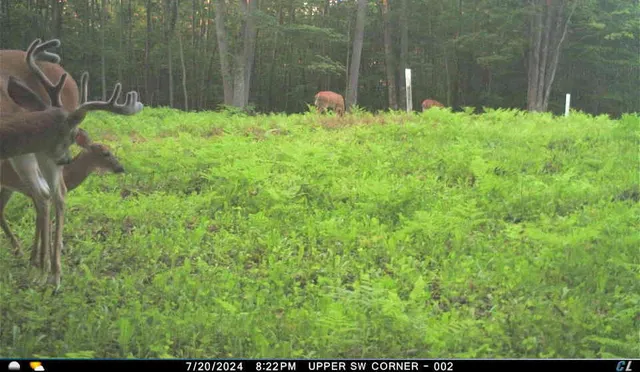 $299,900 | V/l V/l Amber Road, Mears, MI 49436