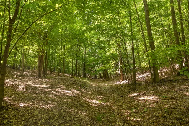 $299,900 | V/l V/l Amber Road, Mears, MI 49436