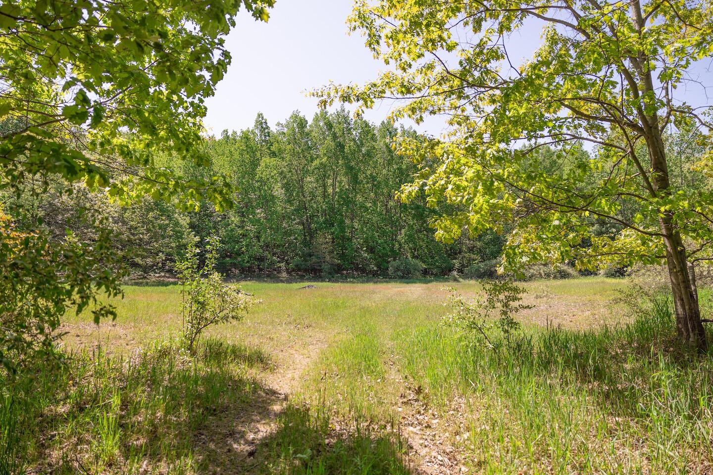 V/l V/l Amber Road Mears, MI 49436 - Photo 9 of 53 5