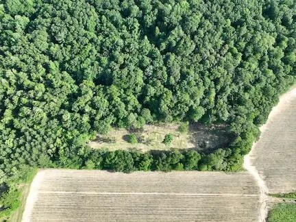 $299,900 | V/l V/l Amber Road, Mears, MI 49436