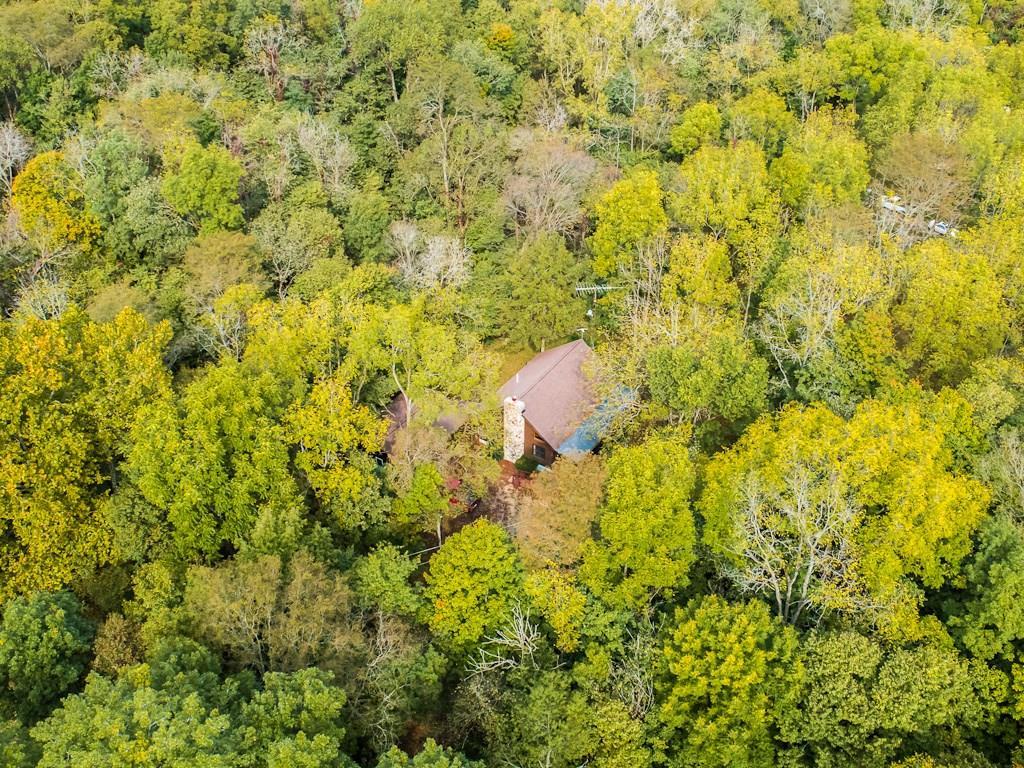 3540 Slate Stone Road Cable, OH 43009 - Photo 6 of 39