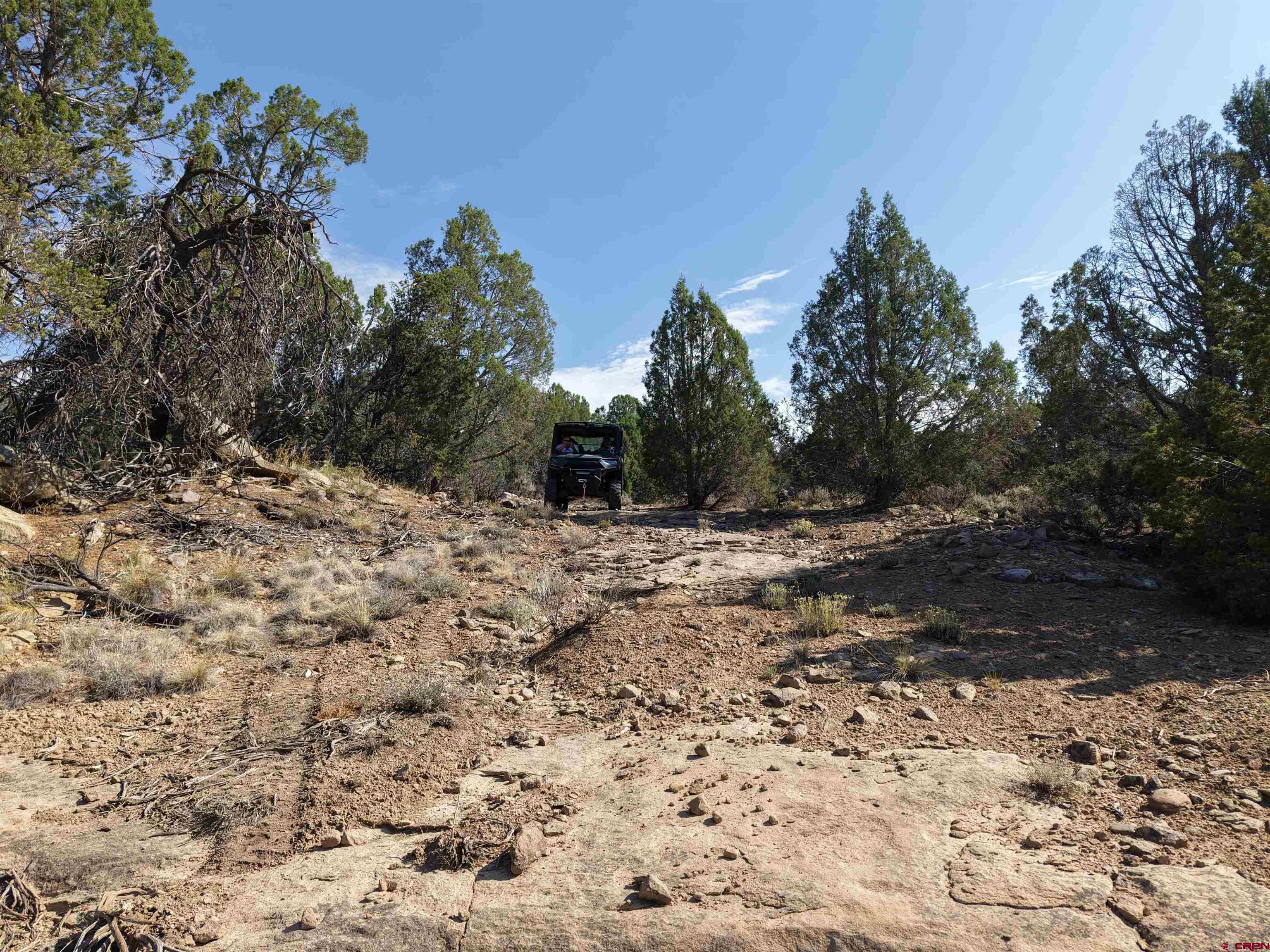 310 Ignacio Co 81137 Ignacio, CO 81137 - Photo 4 of 25