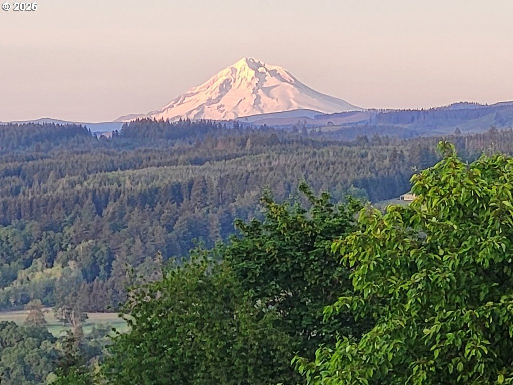 34640 South Ellis Road Molalla, OR 97038 - Photo 48 of 48