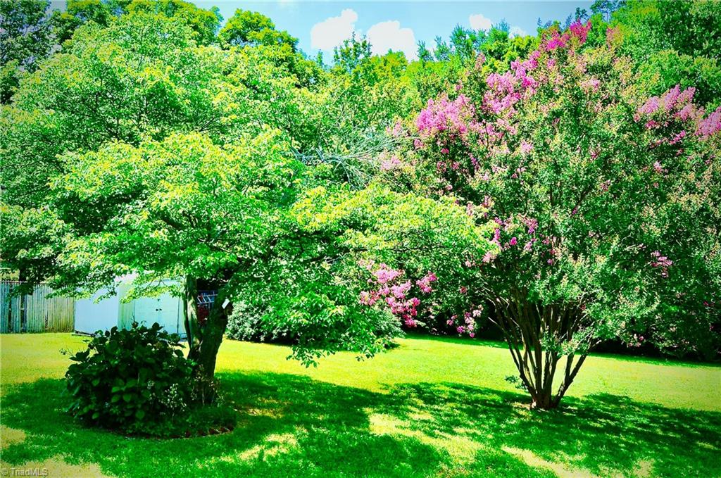 466 Denton Road Denton, NC 27239 - Photo 4 of 15