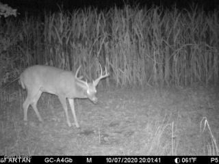 57 Ball Road Dowagiac, MI 49047 - Photo 67 of 70