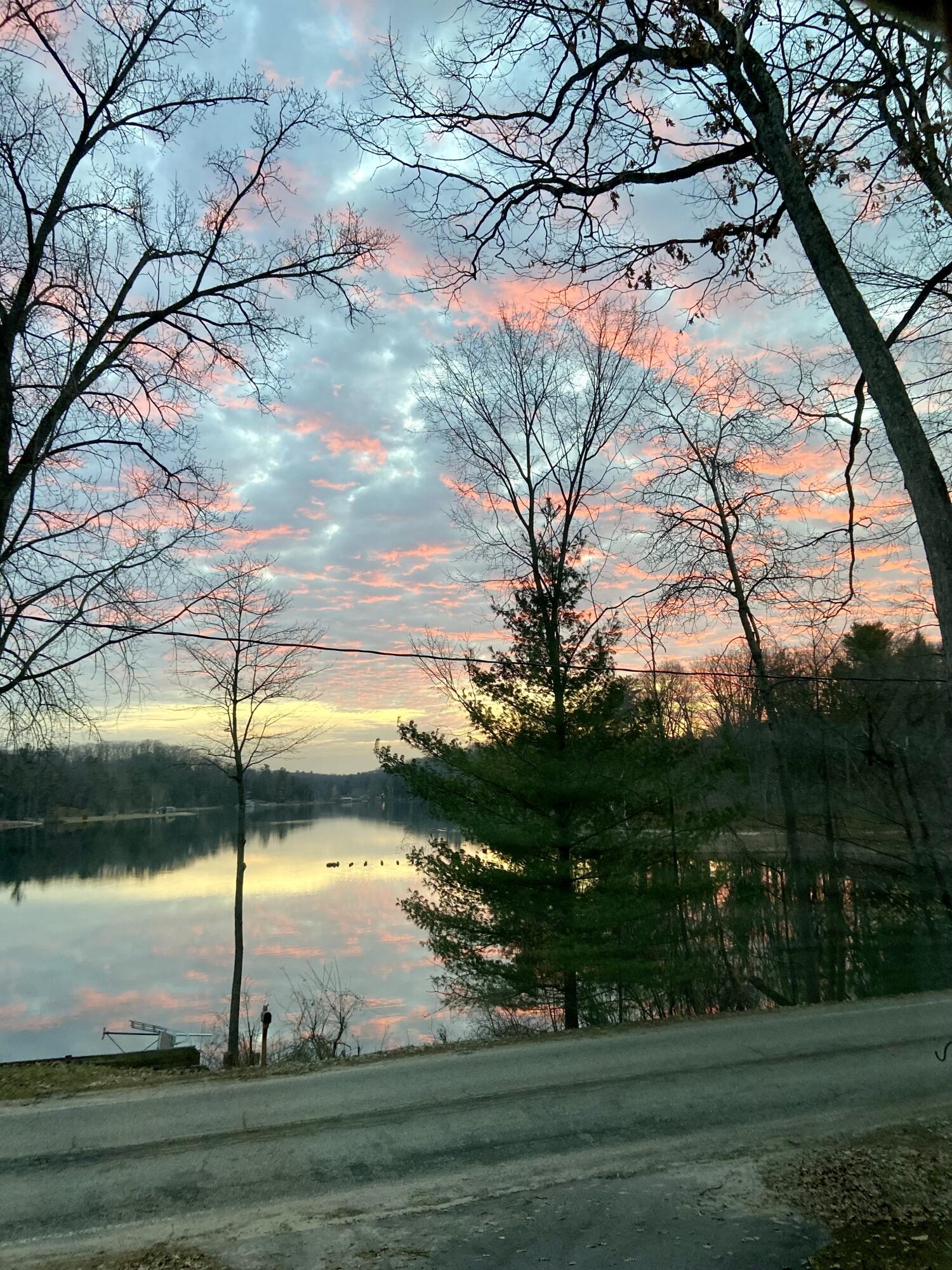 5217 South Centerline Road Newaygo, MI 49337 - Photo 7 of 47 pink sky