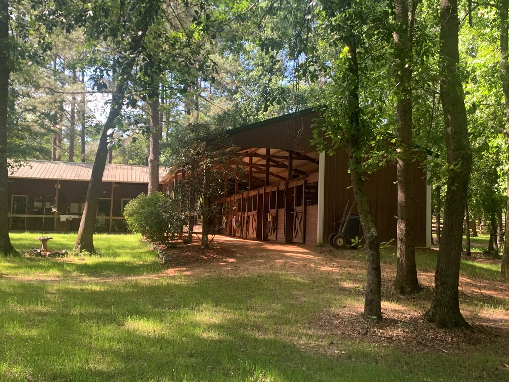 1201 Clayton Road Ridge Spring, SC 29129 - Photo 54 of 56