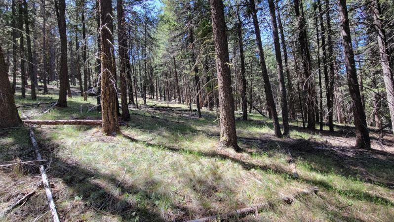 1315 Lofton Creek Road Prineville, OR 97754 - Photo 42 of 61 image000002 (8)