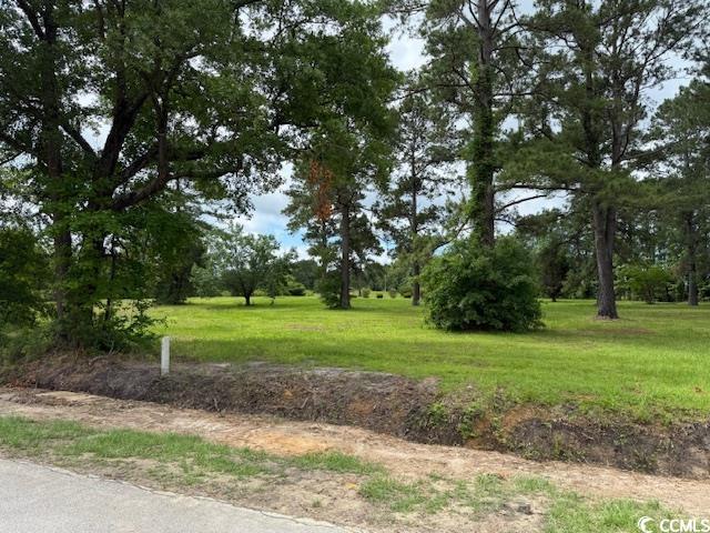 9.76-acs Rabon Road Aynor, SC 29511 - Photo 13 of 20