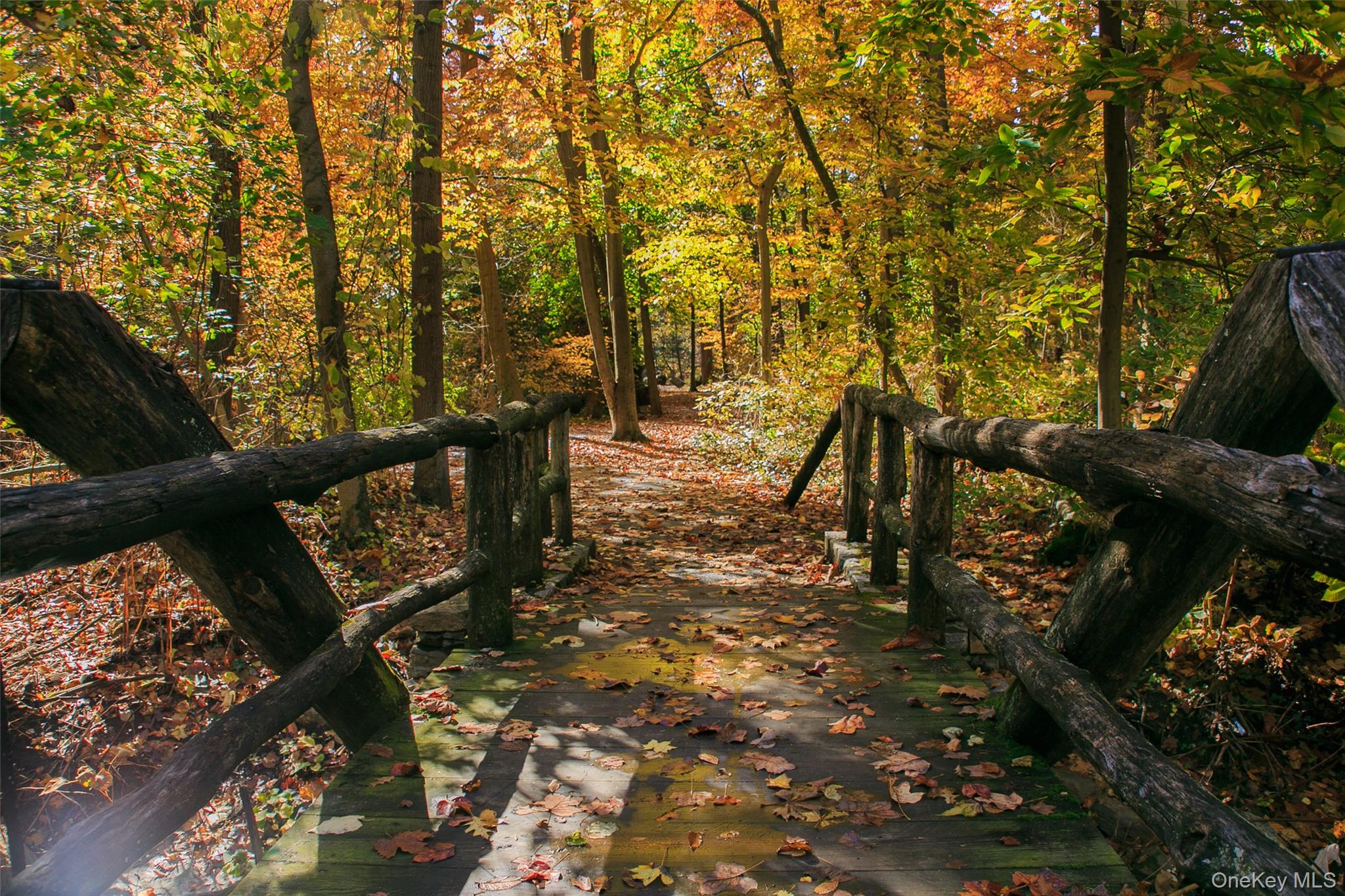 45 Popham Road, Unit 4D Scarsdale, NY 10583 - Photo 27 of 27