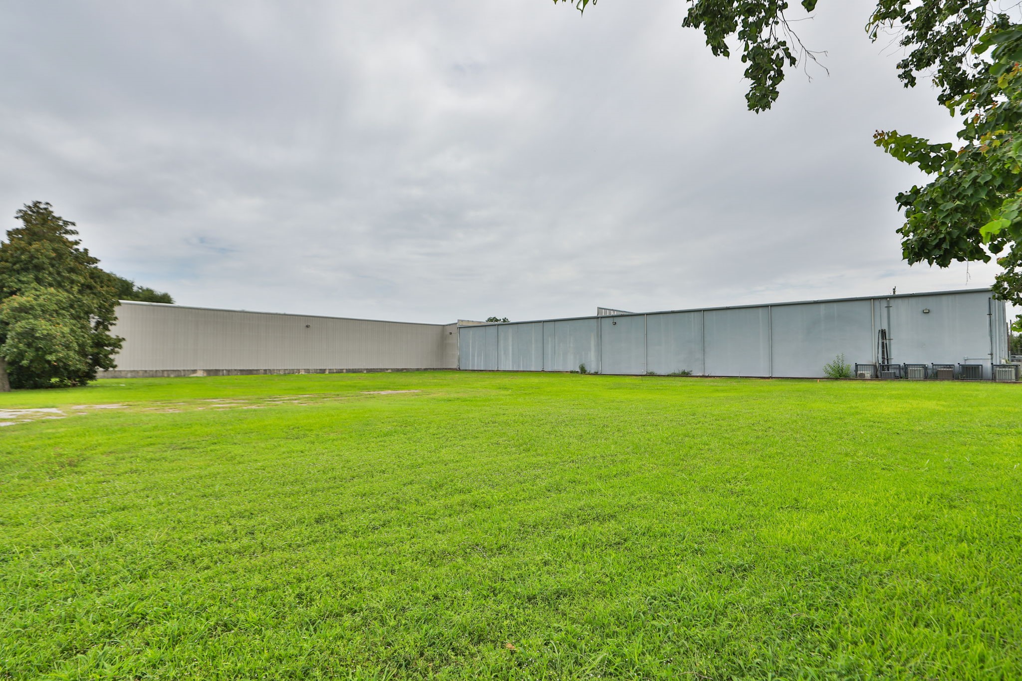 14023 Packard Street Houston, TX 77040 - Photo 32 of 33 a view of a big yard with a large tree