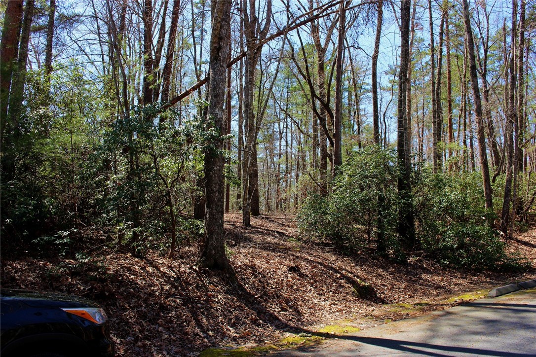 Lot 13 Turtlehead Salem, SC 29676 - Photo 7 of 47 Gallery Image 7