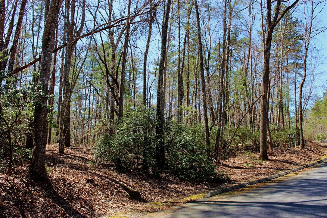 Lot 13 Turtlehead Salem, SC 29676 - Photo 8 of 47 Gallery Image 8
