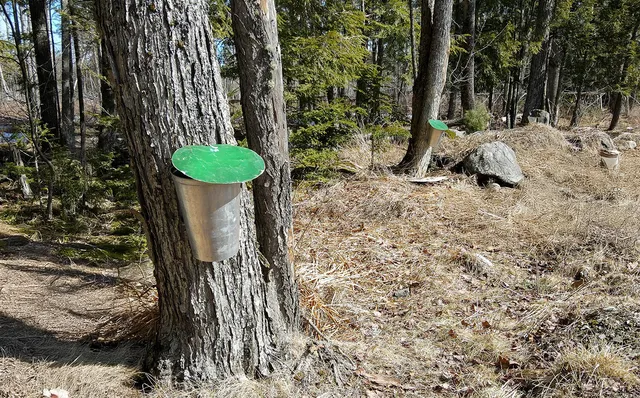 $72,000 | M37-053-00 Cedar Breeze South, Glenburn, ME 04401