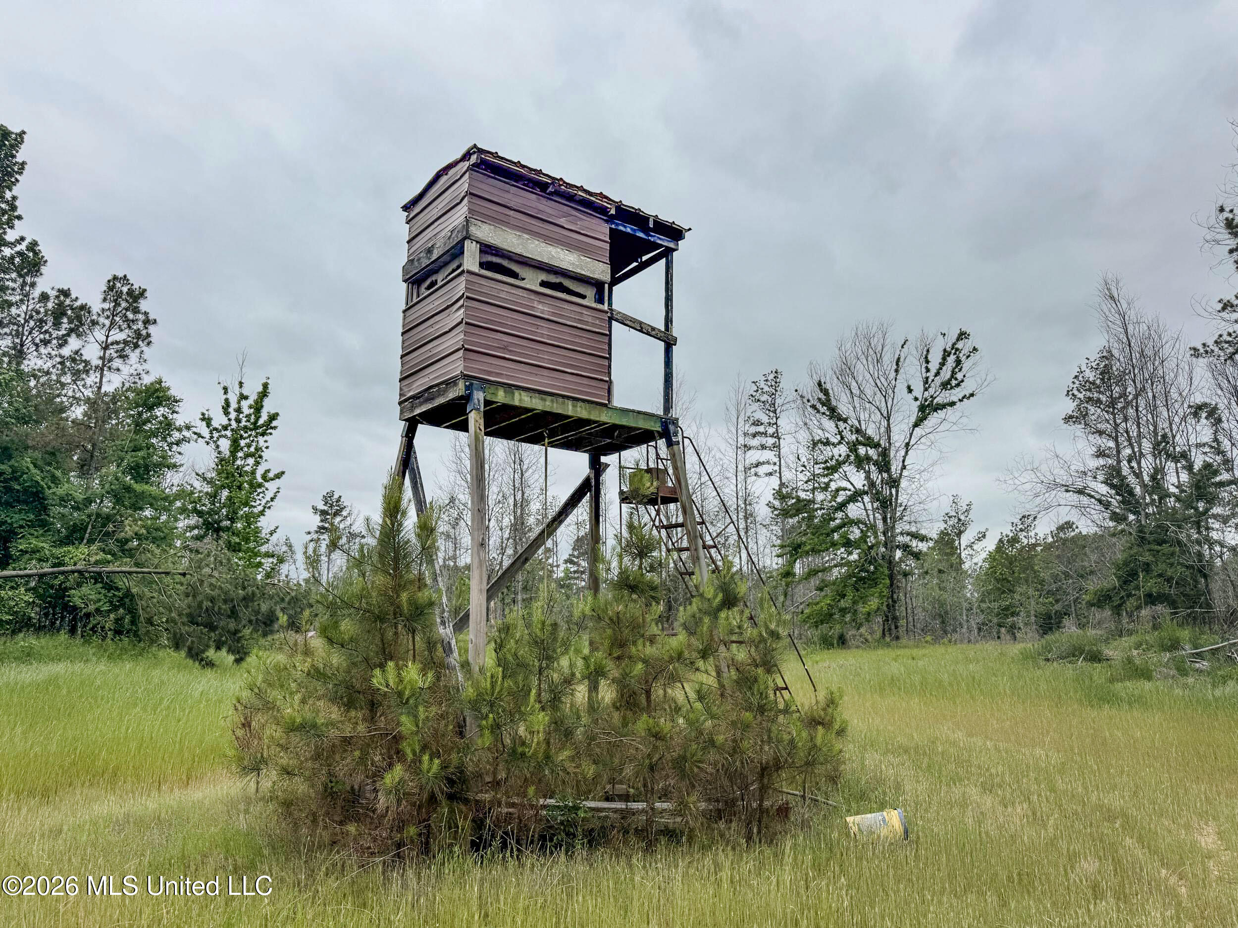 Wayne Massie Road Como, MS 38619 - Photo 142 of 184 5cdtbs86
