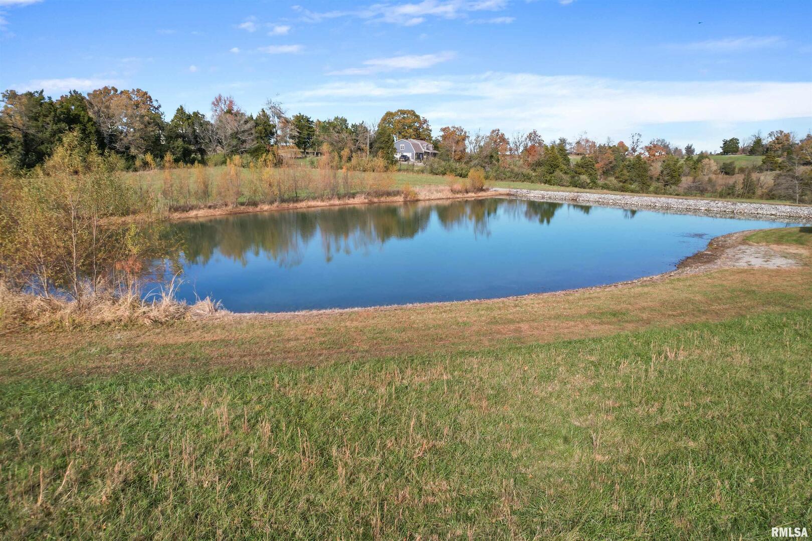 625 Sullivan Road Goreville, IL 62939 - Photo 18 of 23