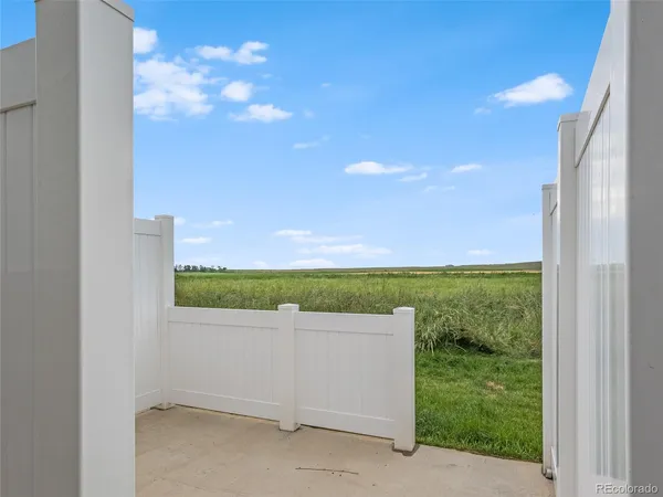 a view of backyard with potted plants