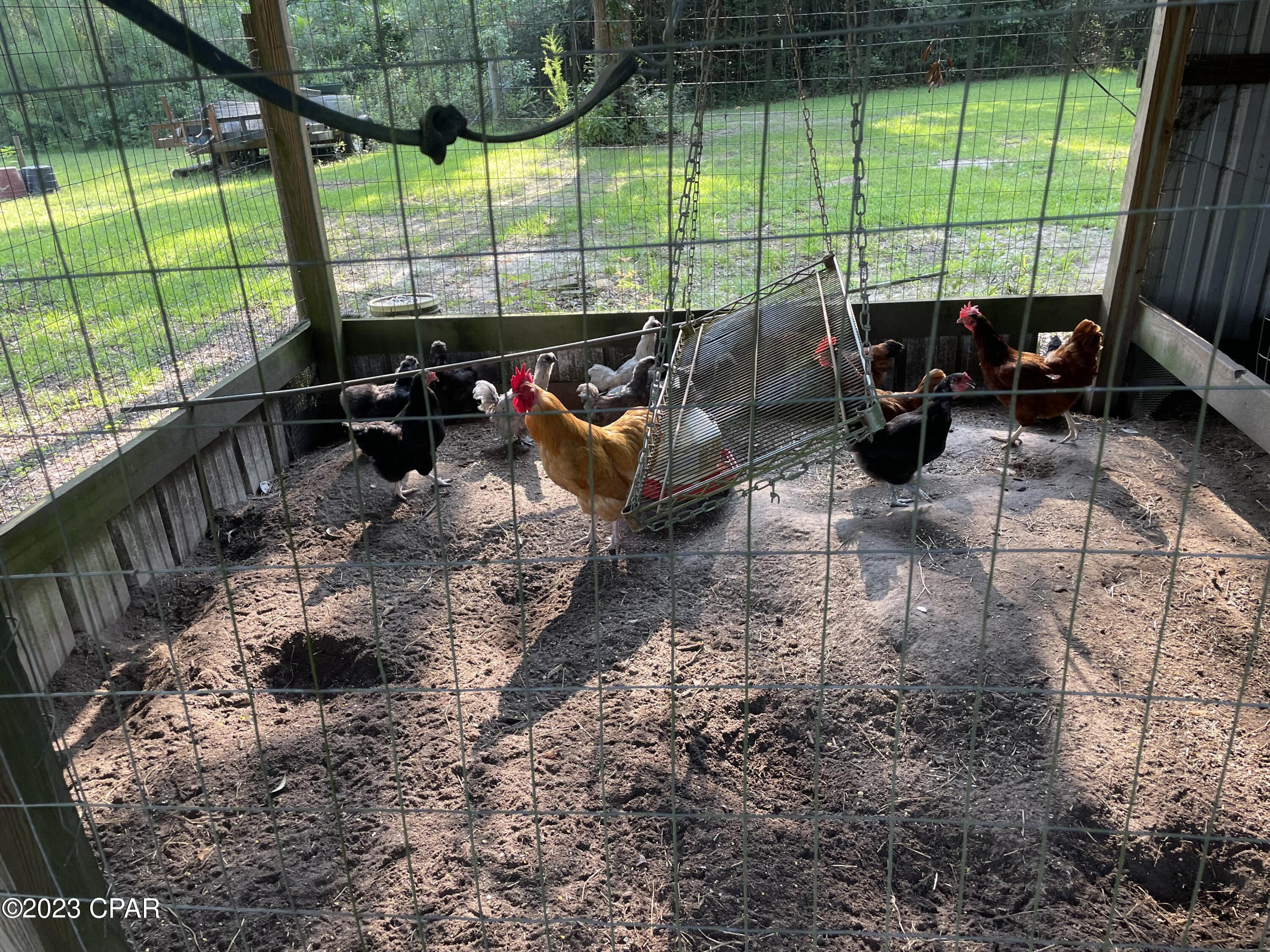 2189 Wilimar Road Cottondale, FL 32431 - Photo 34 of 36