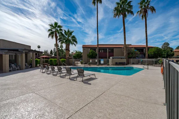 a view of a swimming pool with couches chairs and potted plants