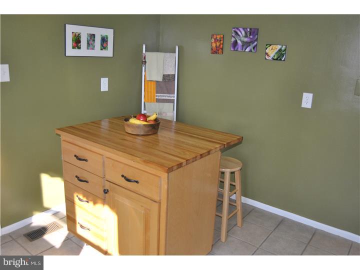 1121 Old Post Road Perkasie, PA 18944 - Photo 9 of 24 Kitchen