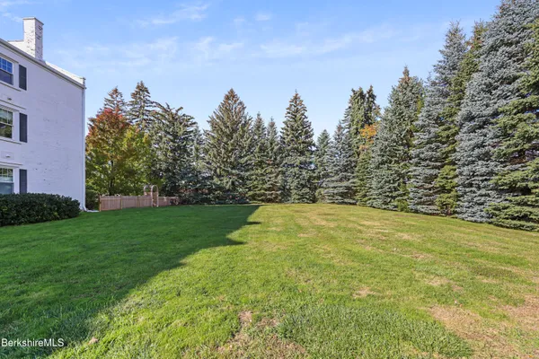 a view of a yard with an trees