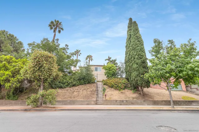 a plant on the side of a road