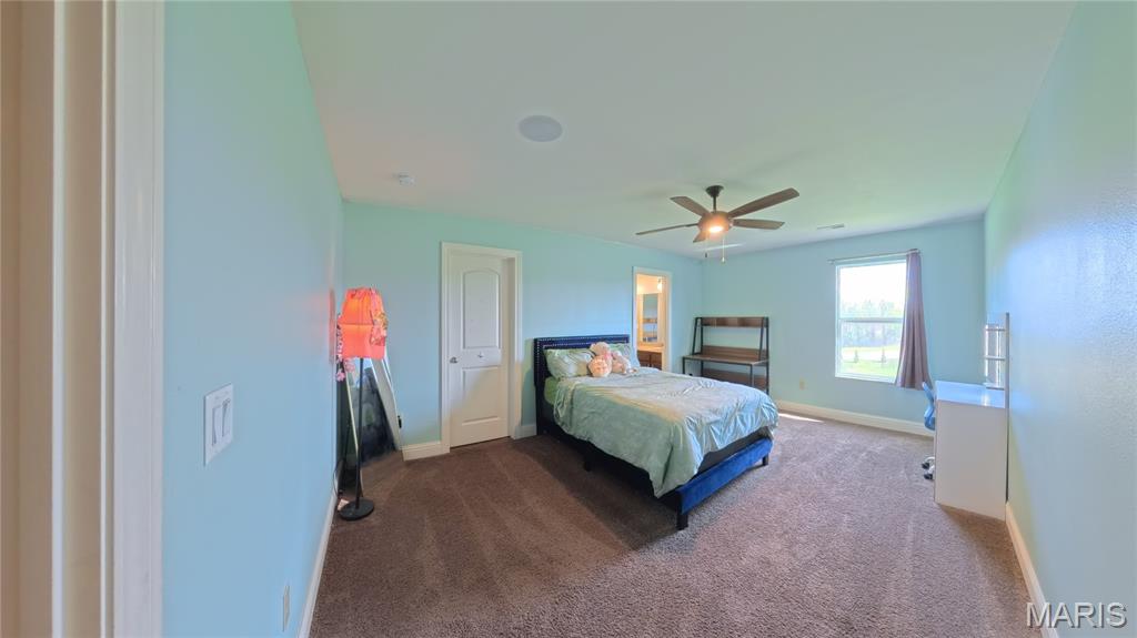 1402 Miami Court O'Fallon, IL 62269 - Photo 37 of 55