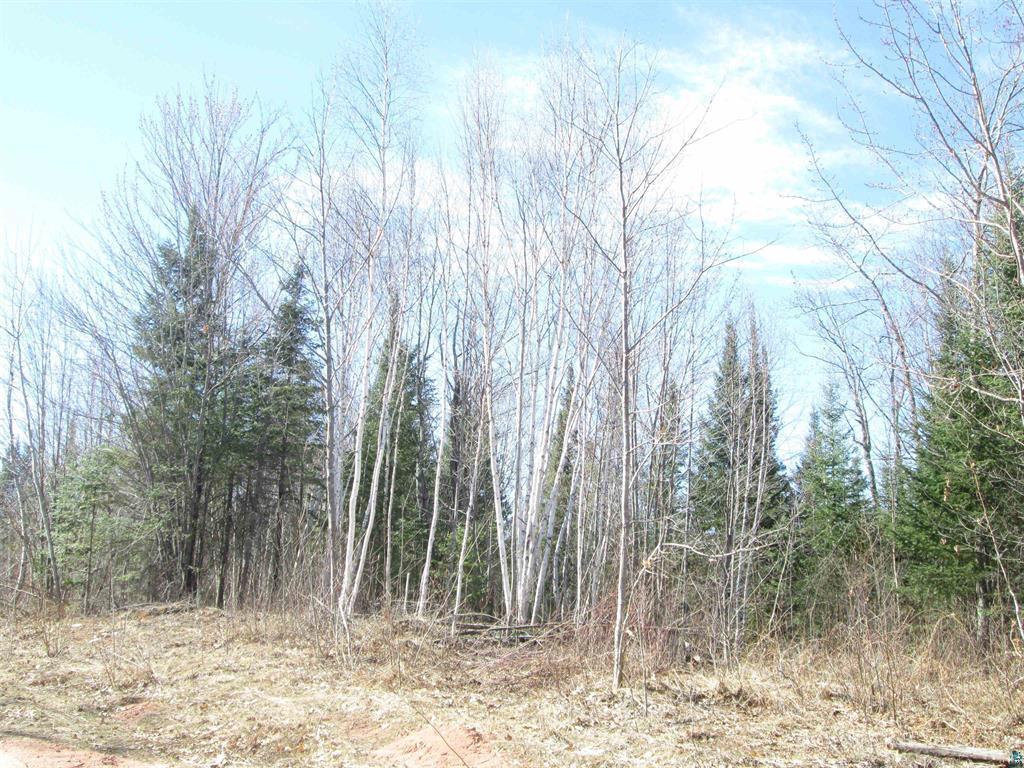 Lot 1 County Rd L South Range, WI 54874 - Photo 14 of 34 Gallery Image 14