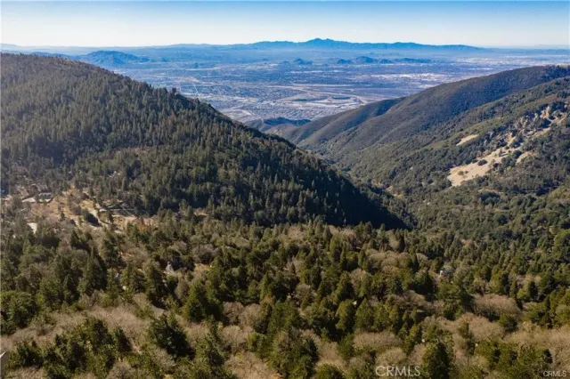 a view of a dry yard with trees