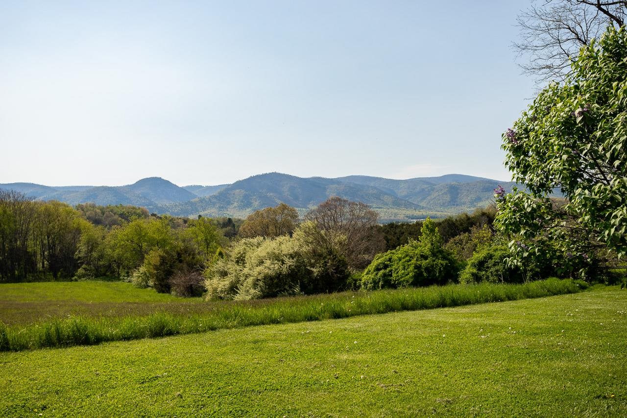 101 Dabneys Road Raphine, VA 24472 - Photo 54 of 75 a view of a lush green outdoor space with a lake view