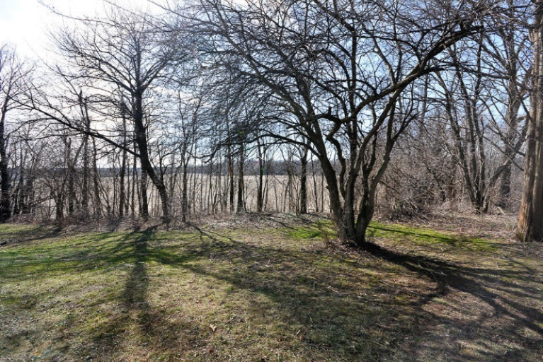 6511 Ravine Road Kalamazoo, MI 49009 - Photo 20 of 25 6511Ravine_25