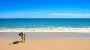 $600,000 | 213 Ocean Dunes Circle, Jupiter, FL 33477