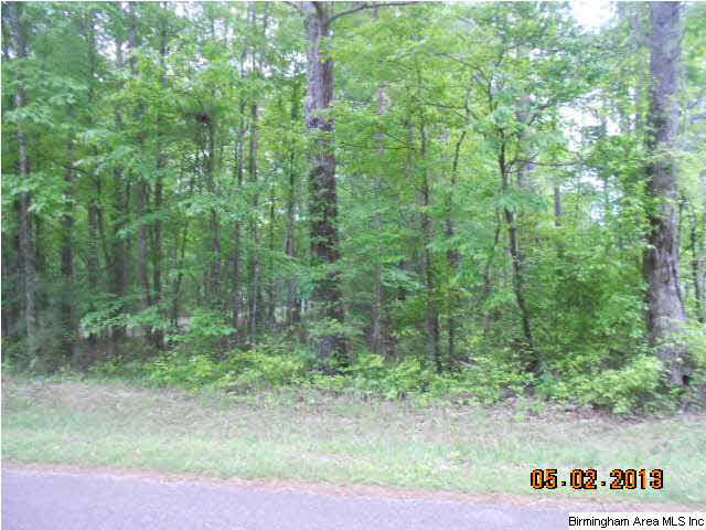 346 Dorough Road, Unit LOT 3 Columbiana, AL 35051 - Photo 1 of 1