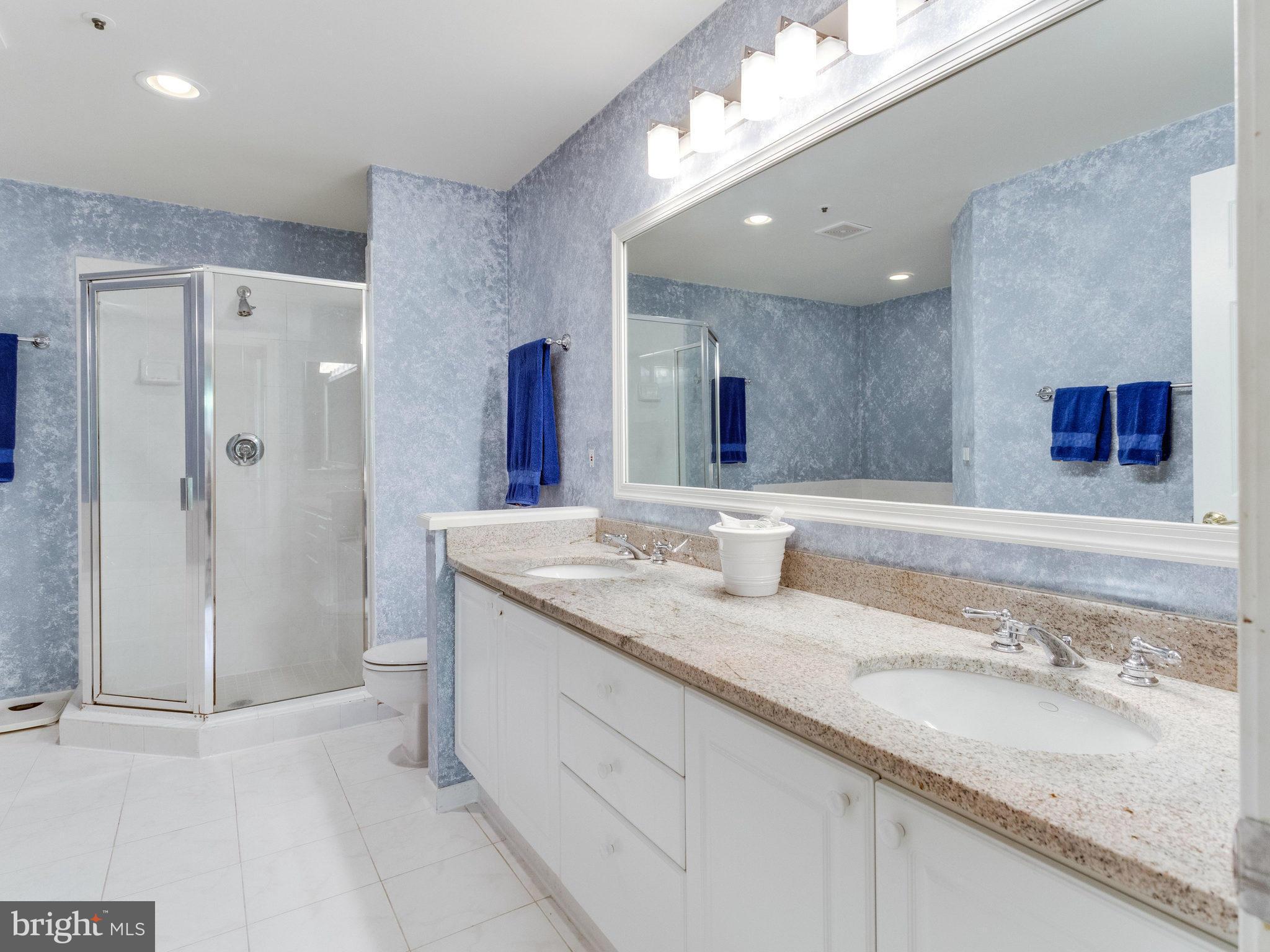 2132 21st Road North Arlington, VA 22201 - Photo 12 of 30 Bath (Master)
